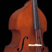 Czech Double bass semi professional