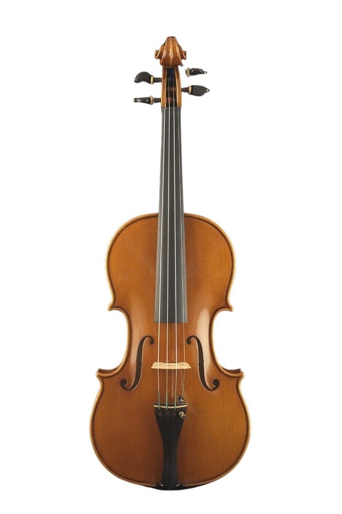 FEDERICO FALASCHI - Image 2