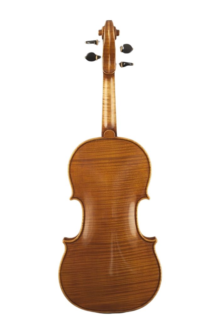 FEDERICO FALASCHI - Image 3