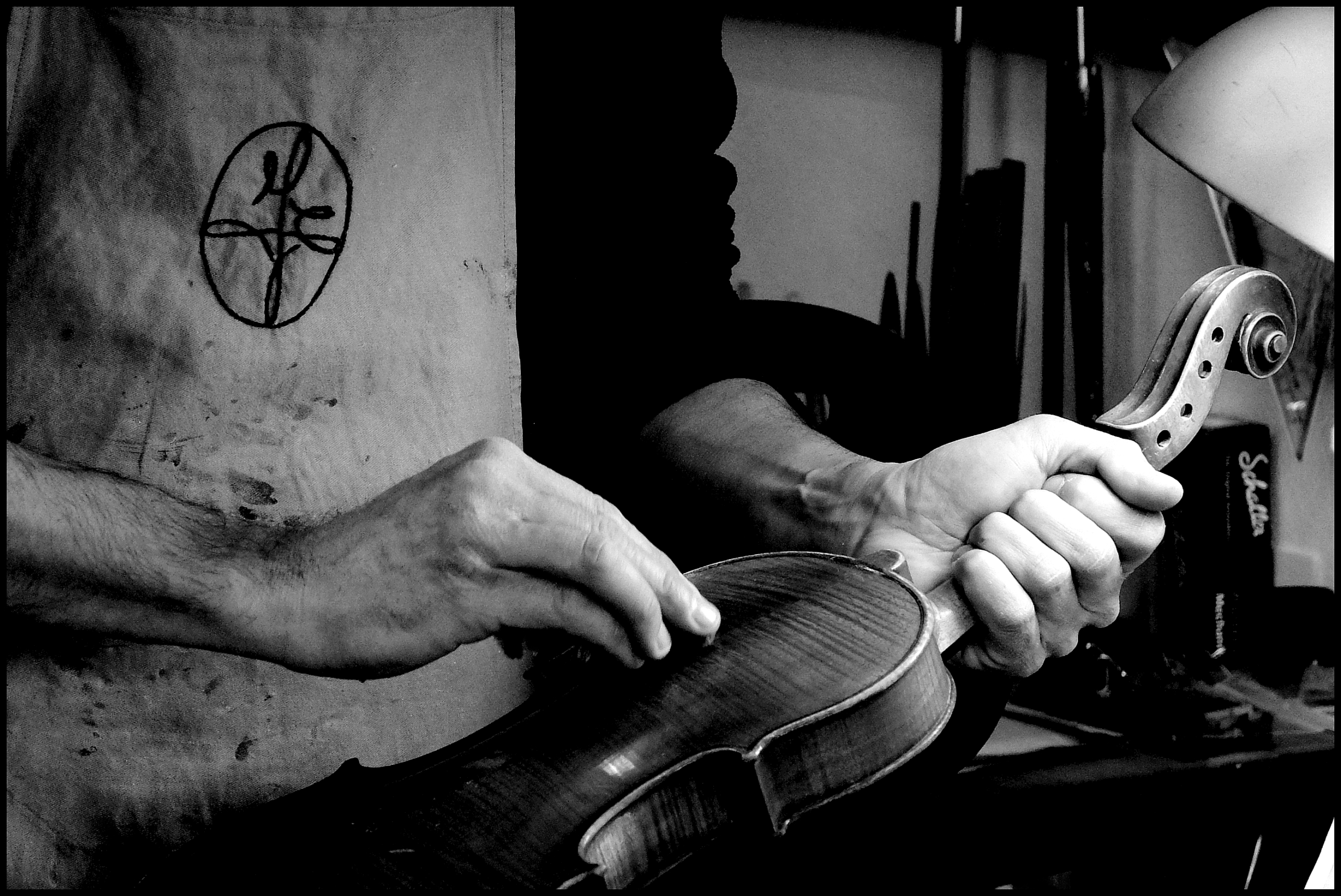 FEDERICO FALASCHI - Image 6