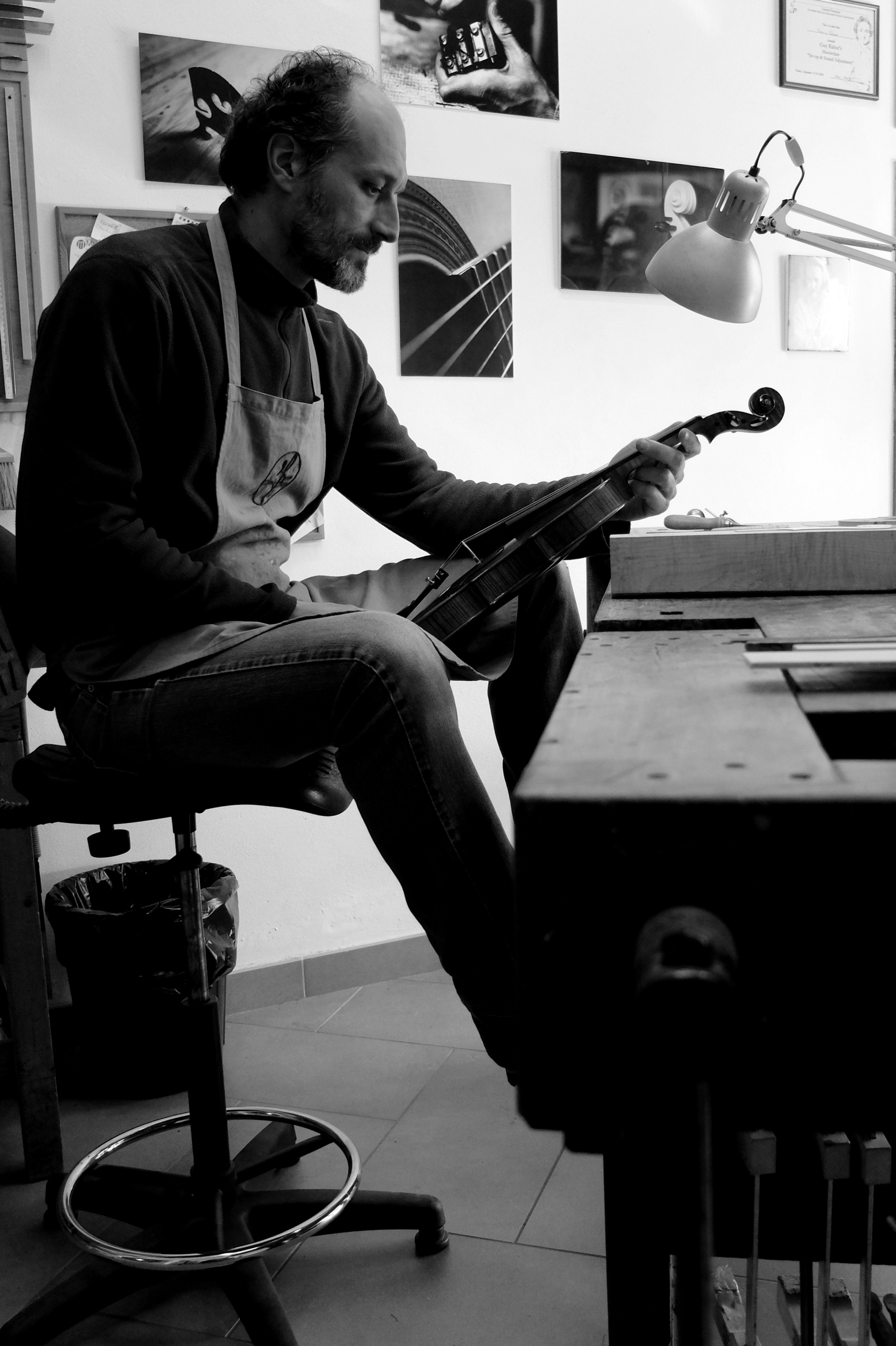 FEDERICO FALASCHI - Image 5