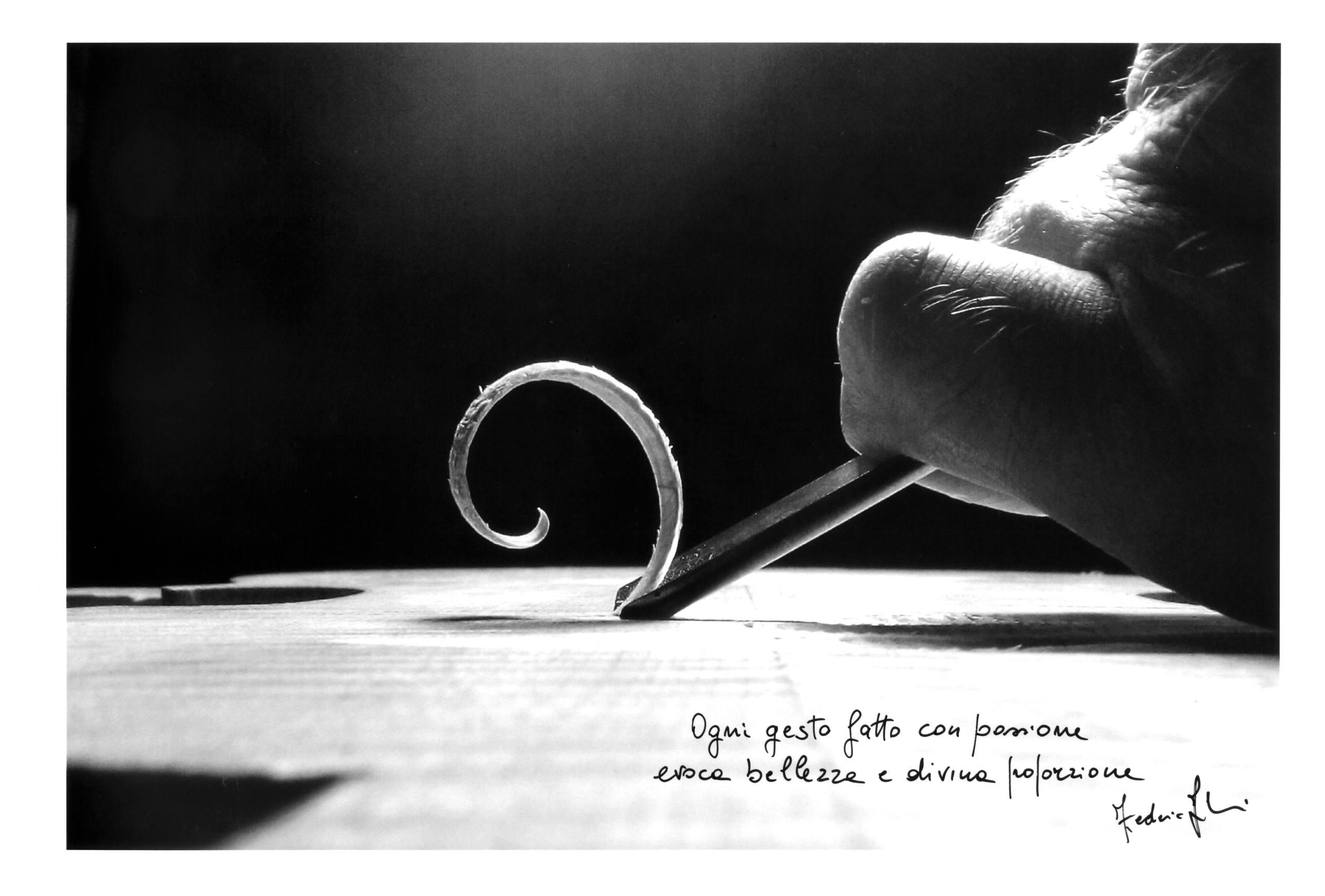 FEDERICO FALASCHI - Image 8