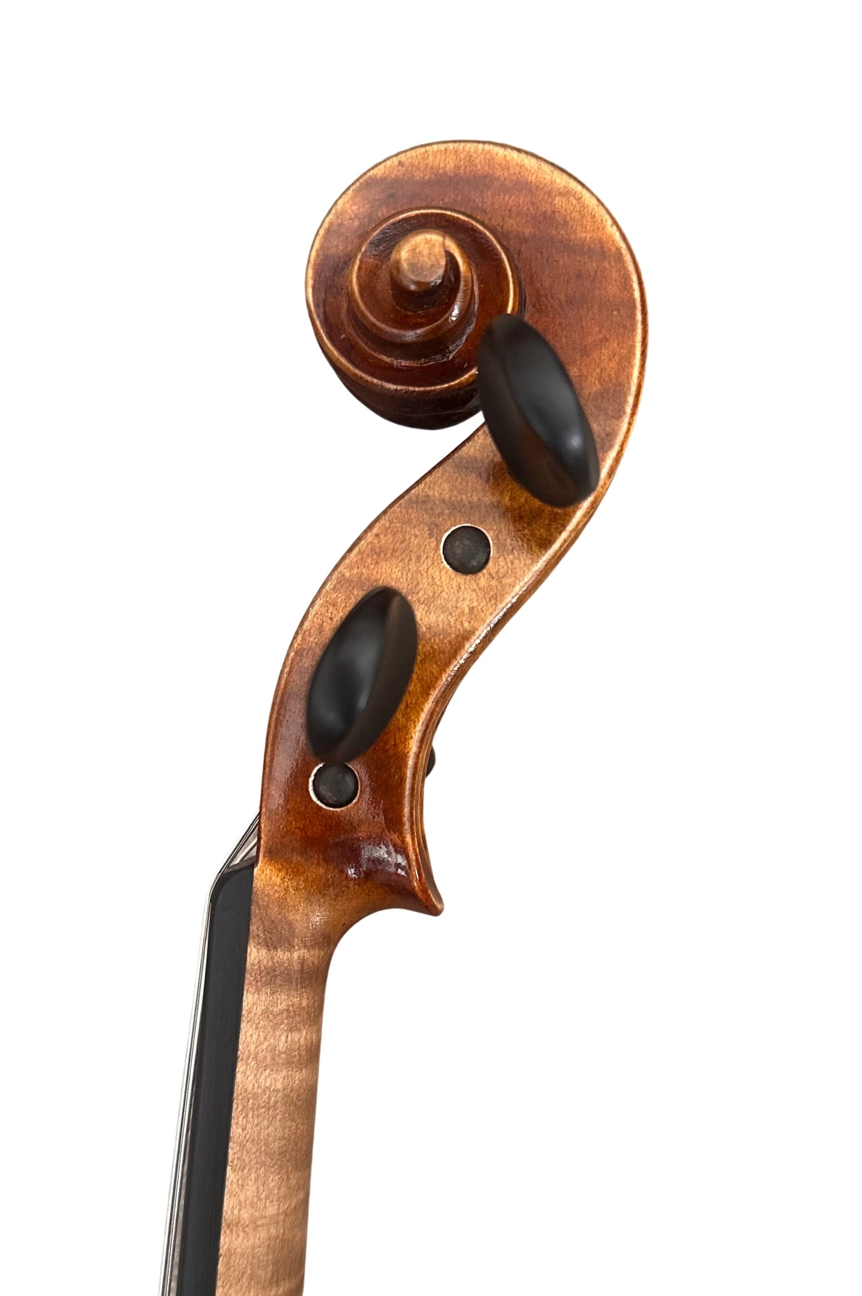 M. BIEG GEIGE - Image 3