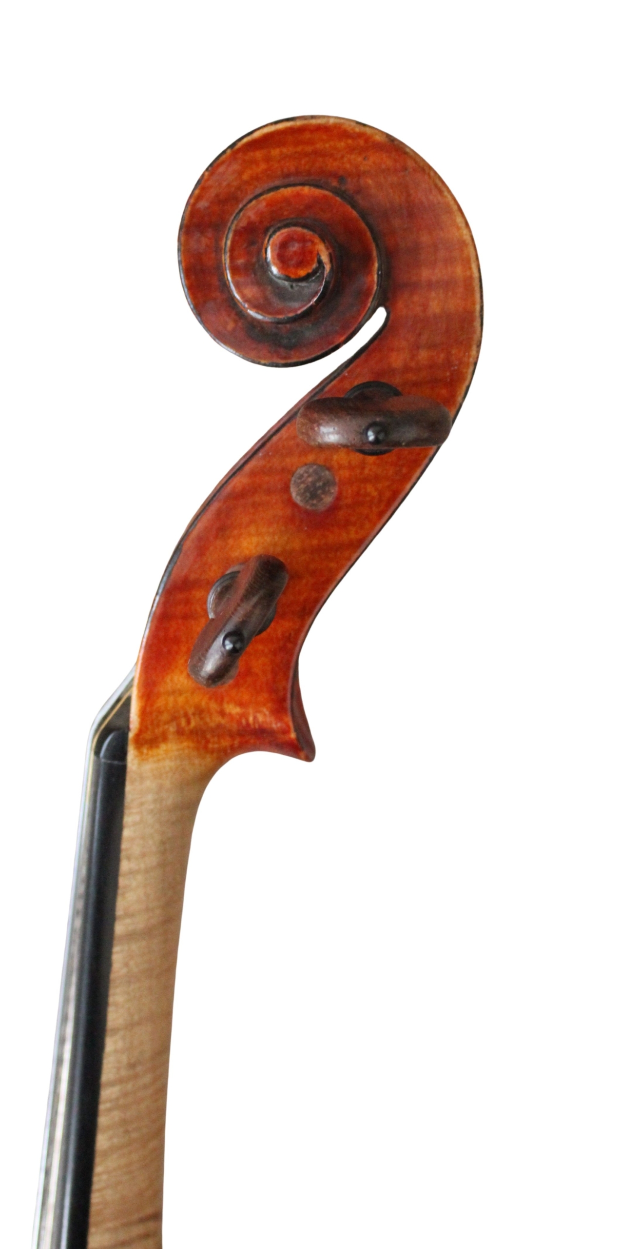 ORESTO MARTINI - Image 3