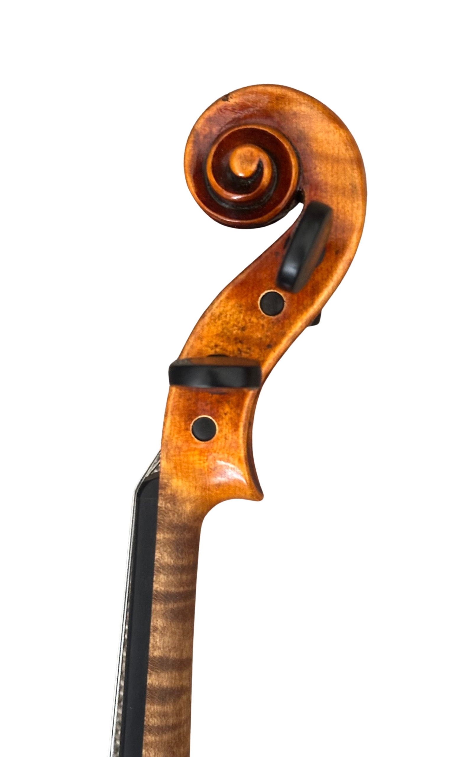 'M. BIEG ORCHESTER' - Image 3