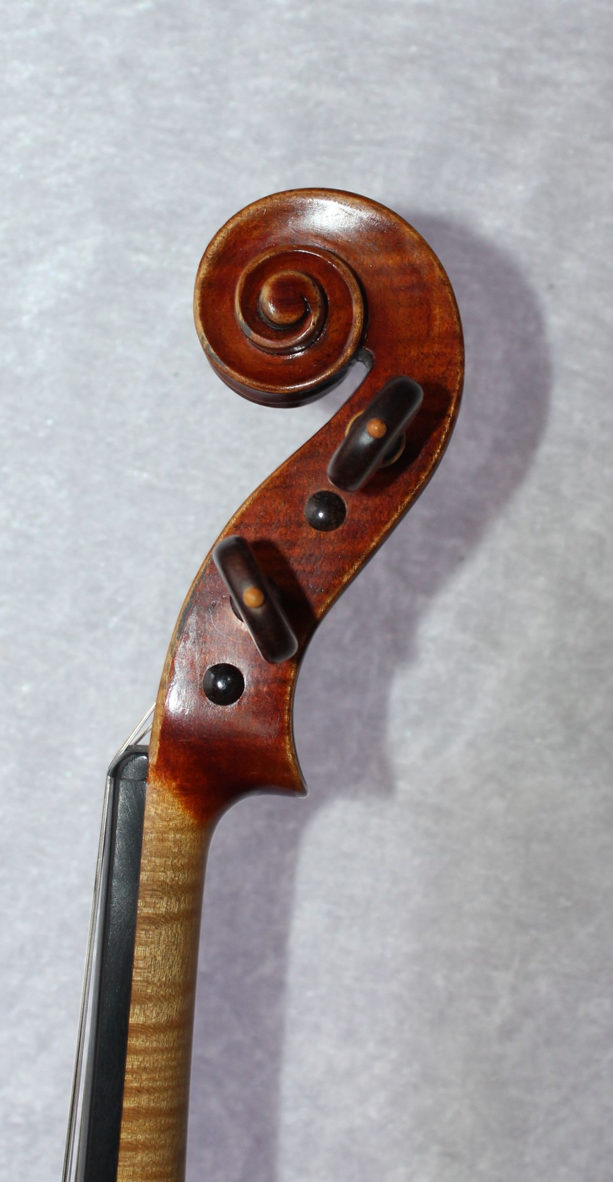 REINHARD BOENSCH - Image 3