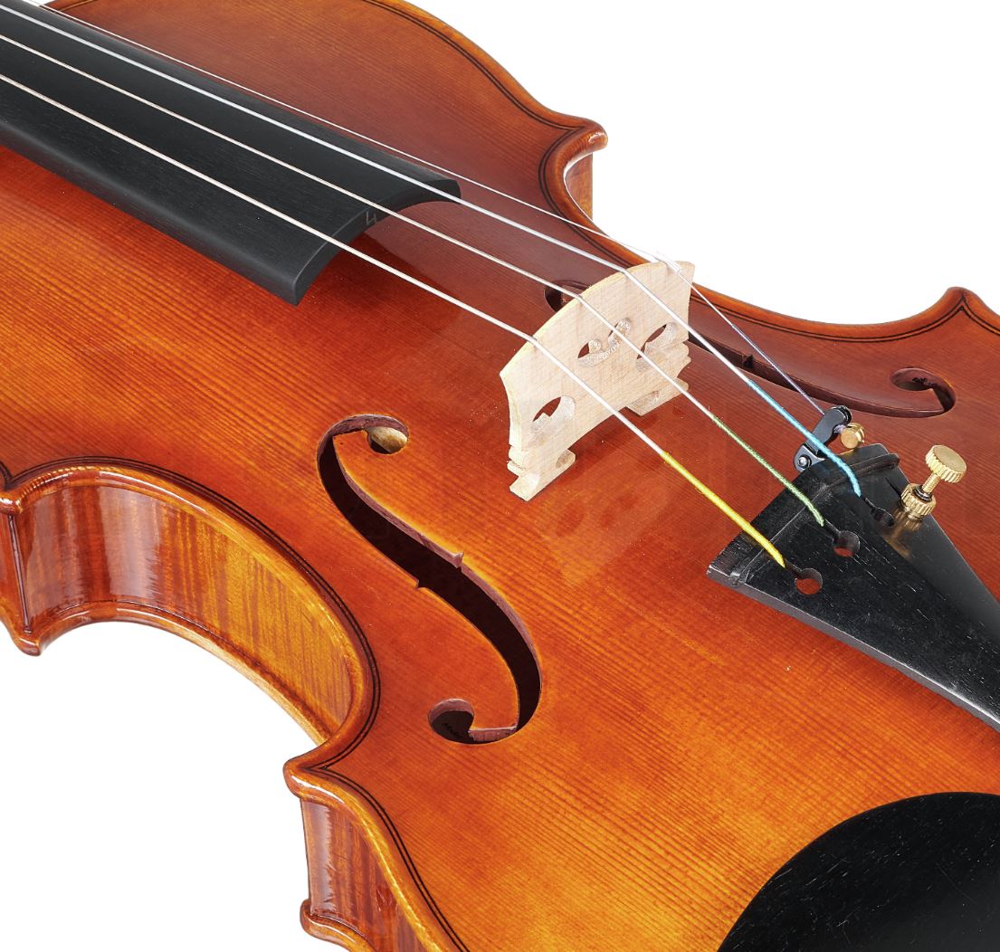 BLUE DANUBE CONCERT - Image 4