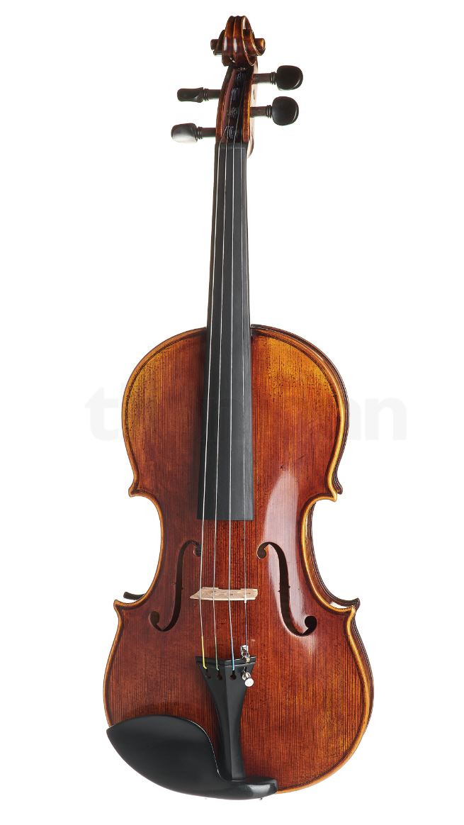 BLUE DANUBE STUDENT - Image 2