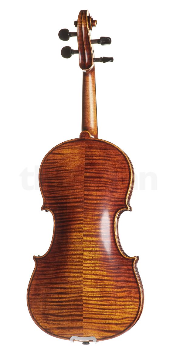 BLUE DANUBE STUDENT - Image 3