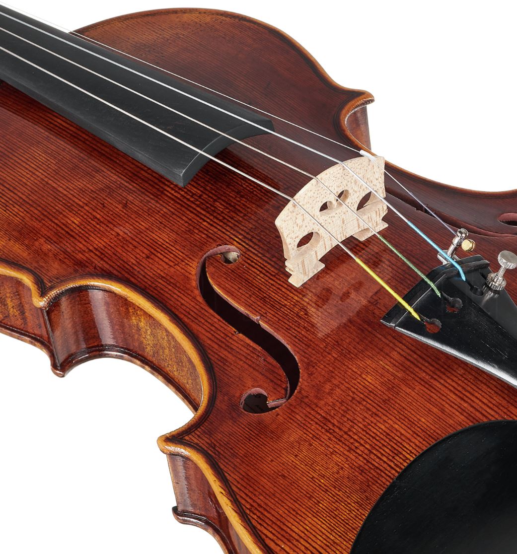 BLUE DANUBE STUDENT - Image 4