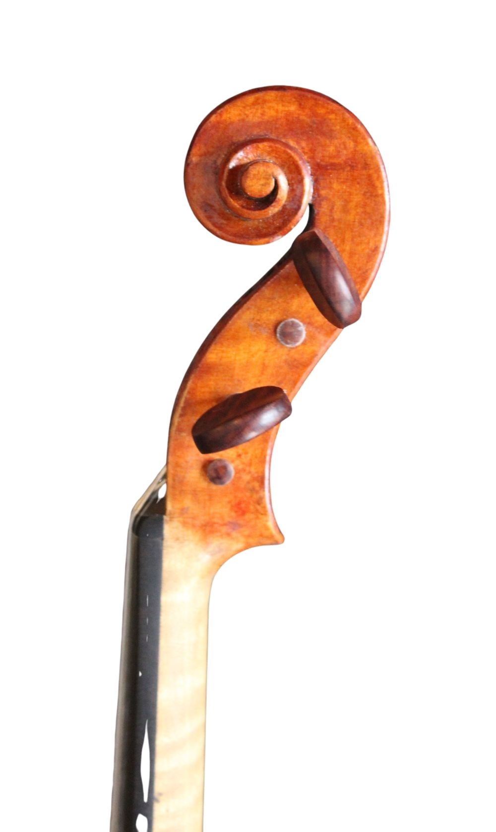 MARTIN HORVAT - Image 3