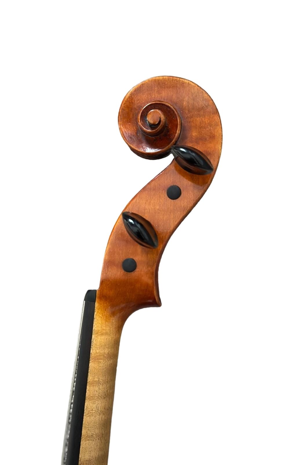 GOLLOB BALACZ - Image 3