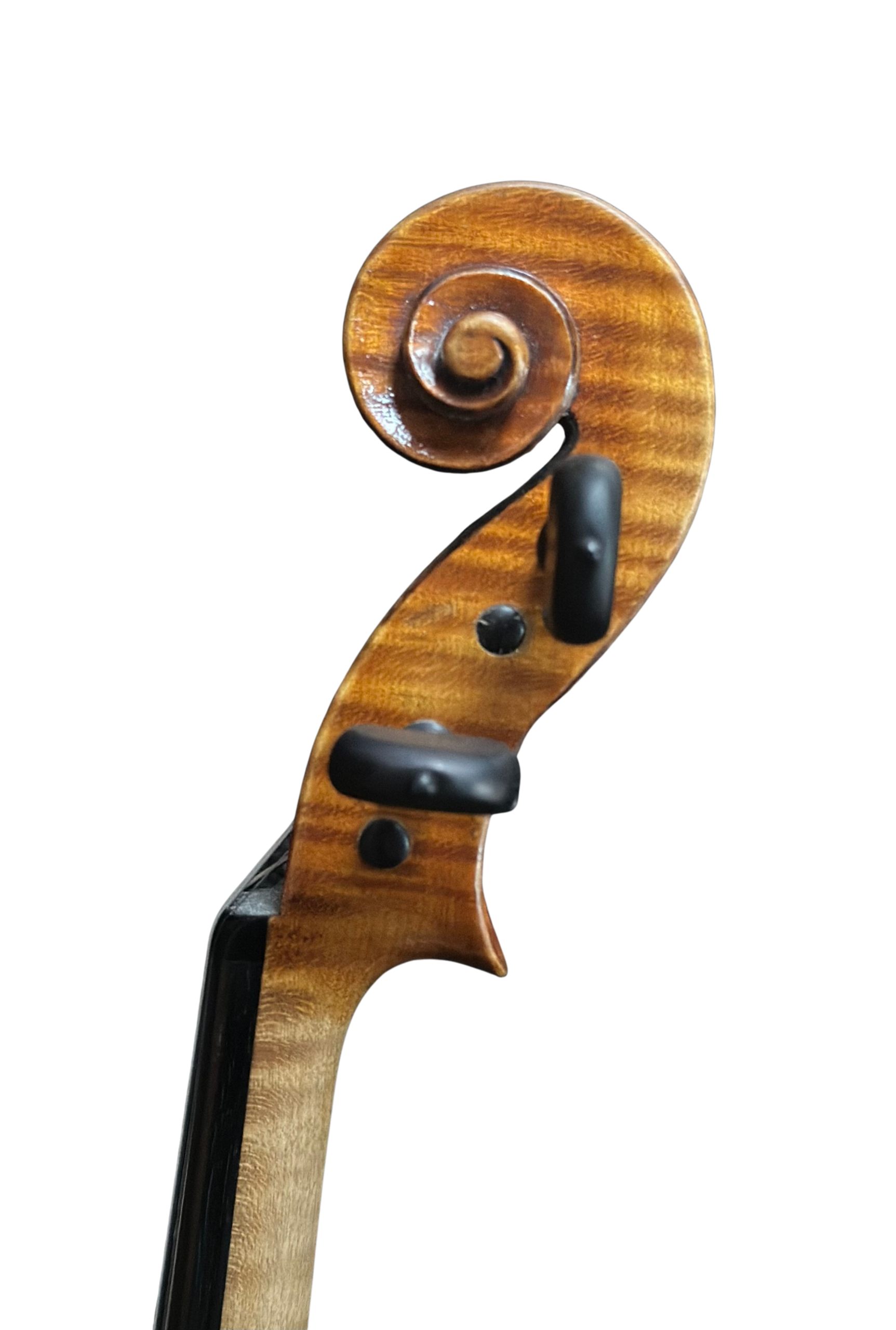 GERGELY FICSOR - Image 3